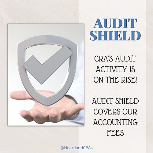 Audit Shield